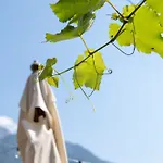 Apartamento Zummer Frei Dolomites Terrace