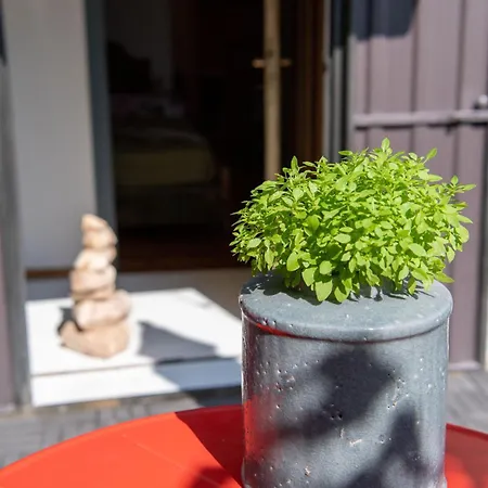Appartement Zummer Frei Dolomites Terrace Pieve di Cadore