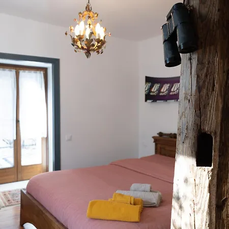 Zummer Frei Pieve di Cadore