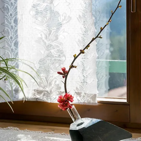 Zummer Frei Dolomites Terrace *